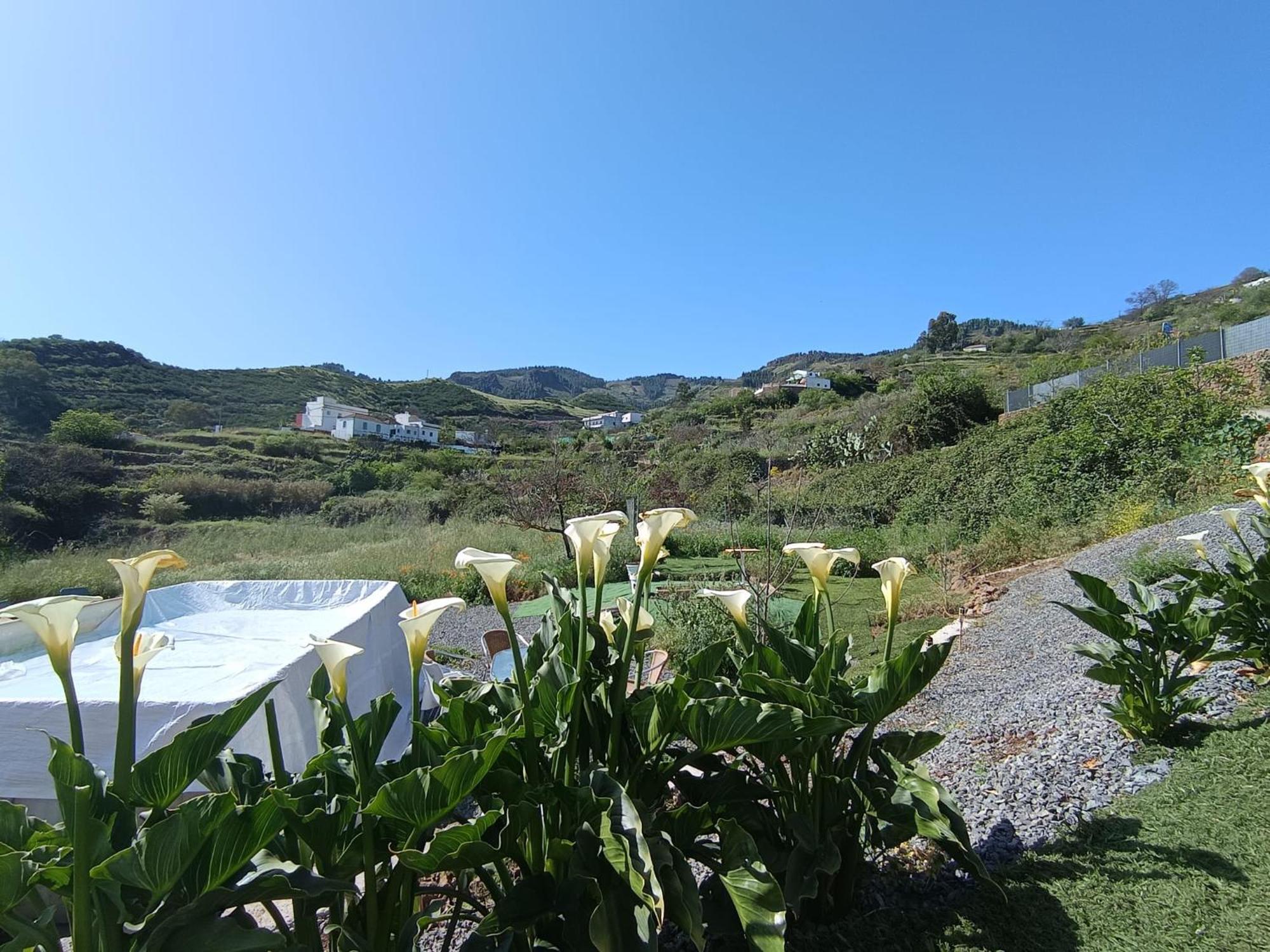 Vv Rural Finca Ecocielo Villa Вега де Сан Матео Екстериор снимка